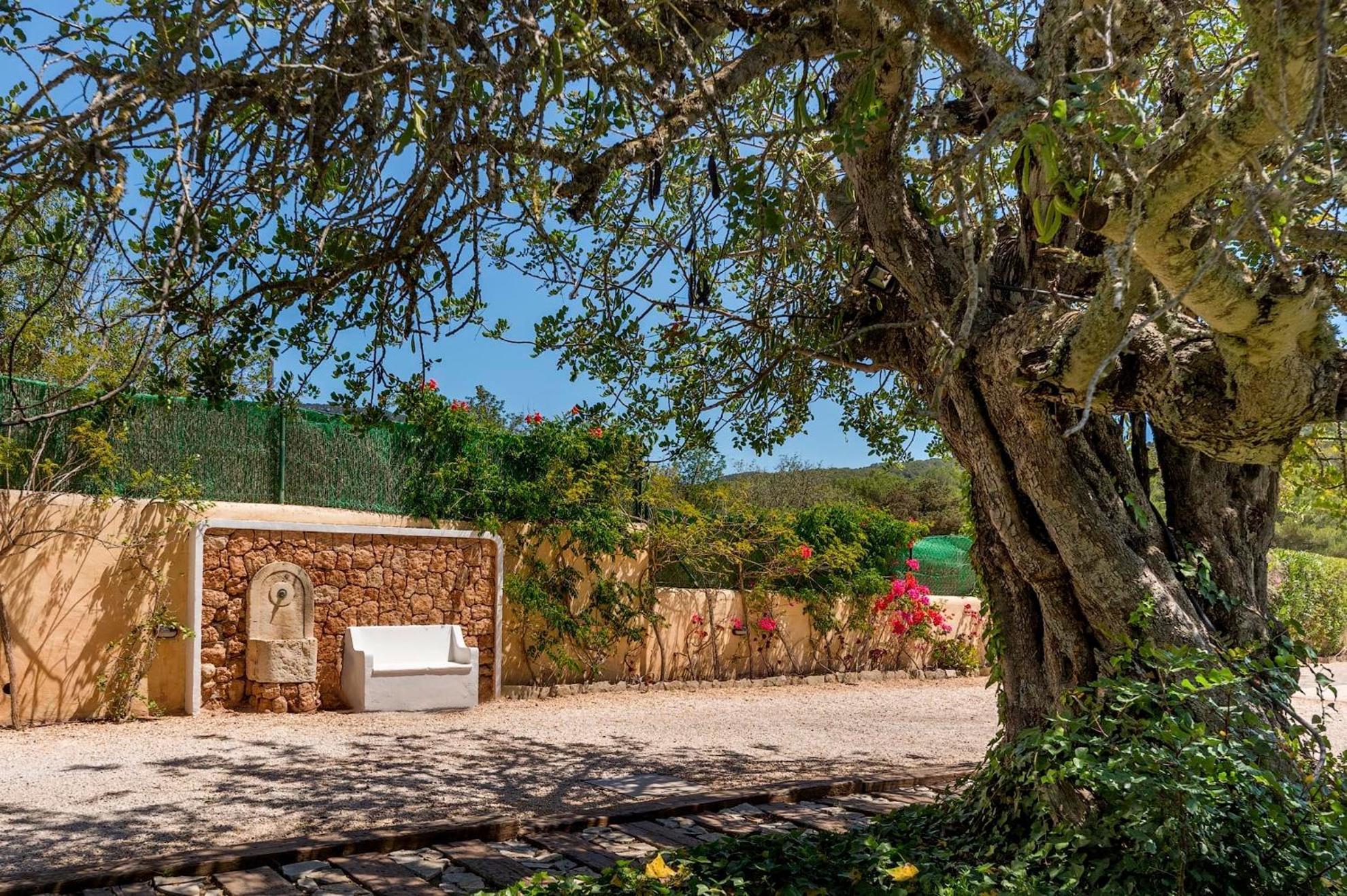 Can Botanic San José Dış mekan fotoğraf