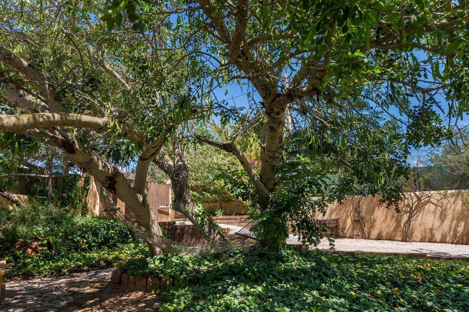 Can Botanic San José Dış mekan fotoğraf